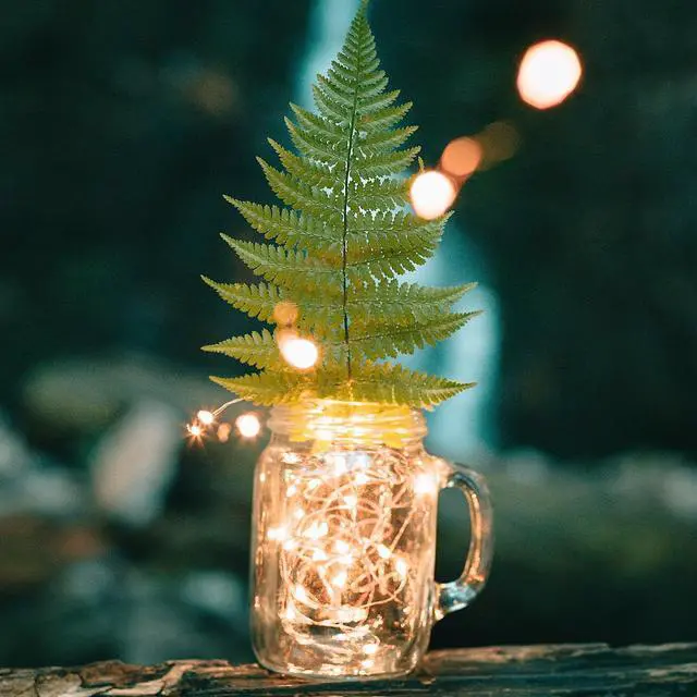 Main image of 20 LED Mini String Lights Battery Operated Decorative Fairy Lights Warm White