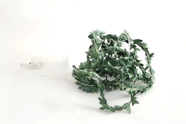 Alt view image 2 of 3 - 20 LED Microdot Lights with Small Green Leaf Battery Operated