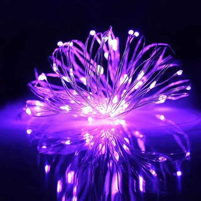 Main image of 10ft Micro Dot Silver Wire LED String Lights Battery Operated Purple