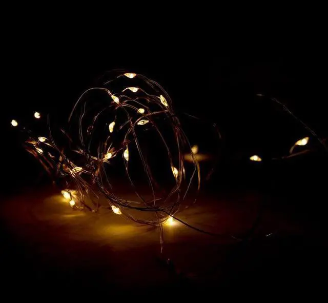 Alt view image 2 of 2 - 50 LED Copper Wire String Lights Warm White, Battery Operated