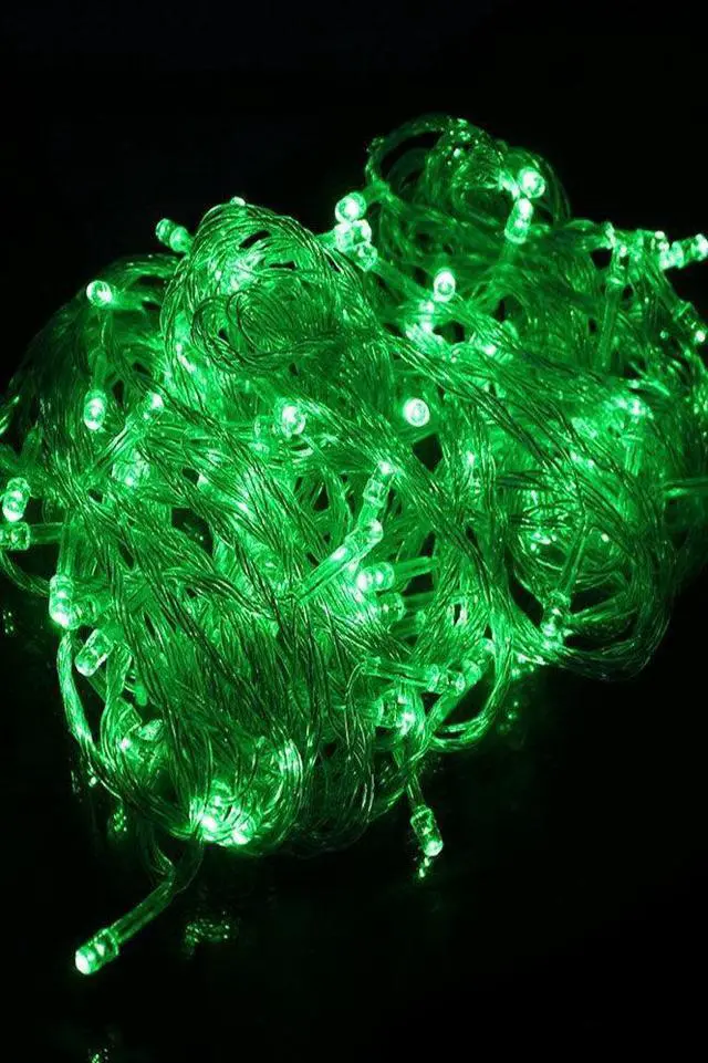 Main image of 100 LED Indoor/Outdoor String Lights Flexible Clear Wire
