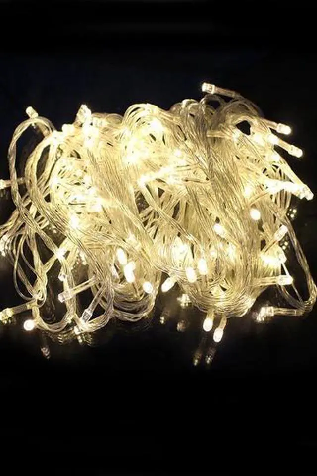 Main image of 100 LED Indoor/Outdoor String Lights Flexible Clear Wire