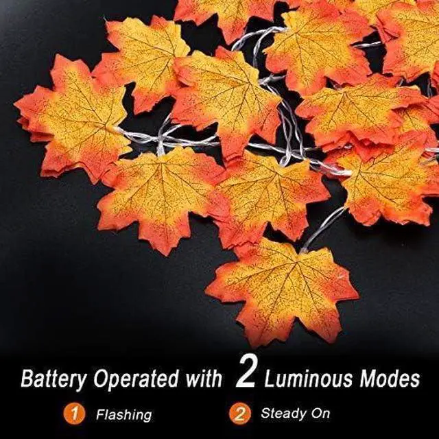 Alt view image 4 of 5 - 20 LED Microdot Maple Leaf String Lights Warm White