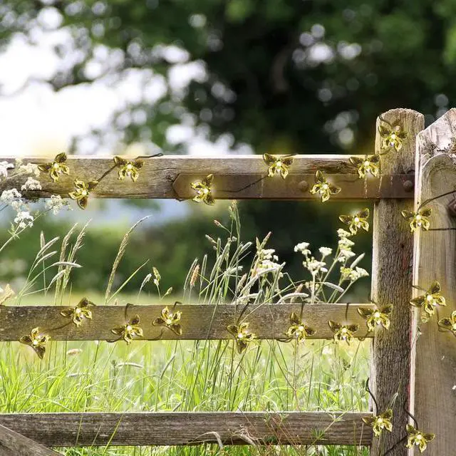Alt view image 2 of 3 - Solar String Light Butterfly