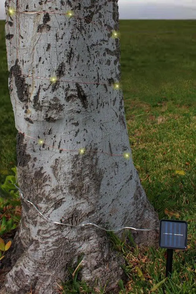 Alt view image 4 of 4 - Solar Powered 200 LED Copper Wire Fairy Light 72' 8 Light Modes