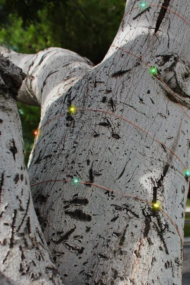 Alt view image 3 of 4 - Solar Powered 200 LED Copper Wire Fairy Light 72' 8 Light Modes