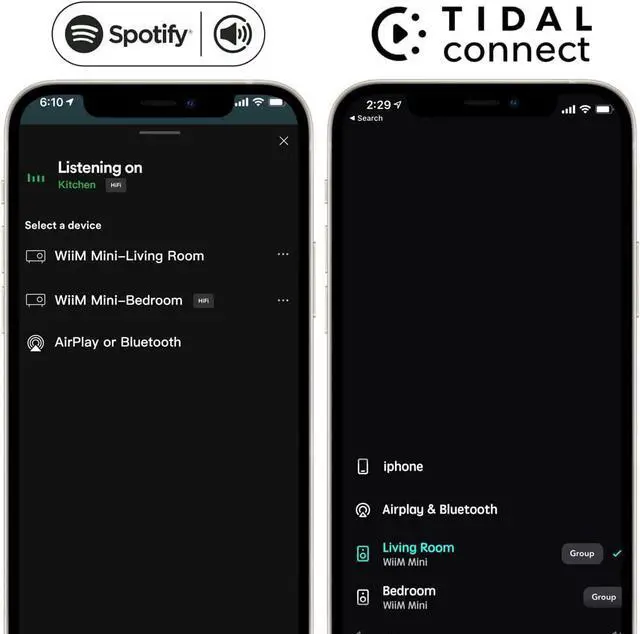 Alt view image 4 of 6 - WiiM Mini AirPlay2 Wireless Audio Streamer, Multiroom Stereo, Preamplifier, Works with Alexa and Siri Voice Assistants, Stream Hi-Res Audio from Spotify, Amazon Music and More