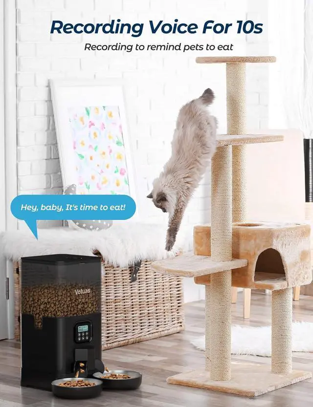 Alt view image 5 of 7 - Automatic Cat Feeders for Two Cats, Double Pet Feeder with 2 Stainless Steel Bowls,6L Timed Cat Feeder with Memory Function, Pet Food Dish