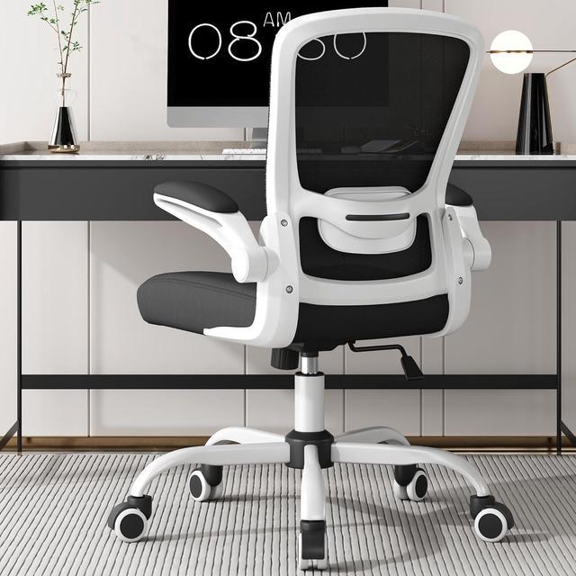 Office Chair, Ergonomic Desk Chair with Adjustable Lumbar Support, High  Back Mesh Computer Chair with Flip-up Armrests-BIFMA Passed Task Chairs