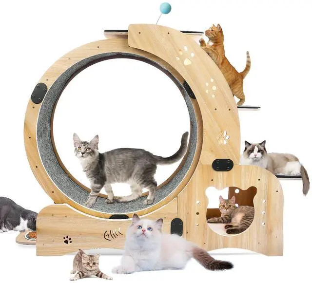 Alt view image 2 of 7 - Cat Wheel 6-in-1 Cat Exercise Wheel,Upgraded Cat Wheel Exerciser for Indoor Cats,Large Cat Treadmill,Cat Running Wheel with Silent Wheel,Cat Walking Wheel Cat Furniture Cat Toys