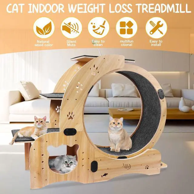 Main image of Cat Wheel 6-in-1 Cat Exercise Wheel,Upgraded Cat Wheel Exerciser for Indoor Cats,Large Cat Treadmill,Cat Running Wheel with Silent Wheel,Cat Walking Wheel Cat Furniture Cat Toys