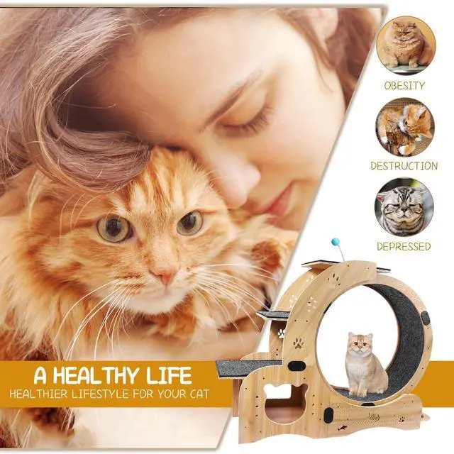 Alt view image 5 of 7 - Cat Wheel 6-in-1 Cat Exercise Wheel,Upgraded Cat Wheel Exerciser for Indoor Cats,Large Cat Treadmill,Cat Running Wheel with Silent Wheel,Cat Walking Wheel Cat Furniture Cat Toys