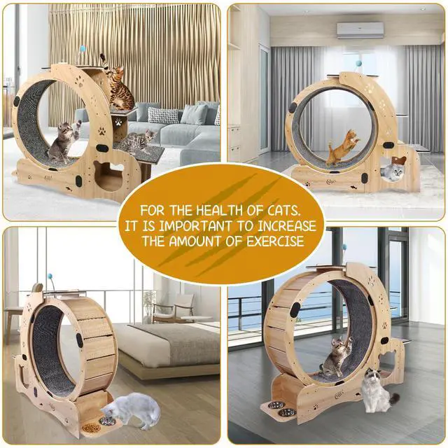 Alt view image 3 of 7 - Cat Wheel 6-in-1 Cat Exercise Wheel,Upgraded Cat Wheel Exerciser for Indoor Cats,Large Cat Treadmill,Cat Running Wheel with Silent Wheel,Cat Walking Wheel Cat Furniture Cat Toys