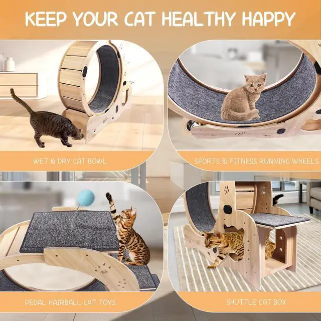 Alt view image 7 of 7 - Cat Wheel 6-in-1 Cat Exercise Wheel,Upgraded Cat Wheel Exerciser for Indoor Cats,Large Cat Treadmill,Cat Running Wheel with Silent Wheel,Cat Walking Wheel Cat Furniture Cat Toys