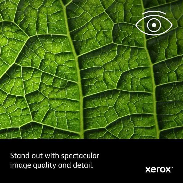Alt view image 6 of 6 - Xerox Phaser 6510/DN Color Printer built for business