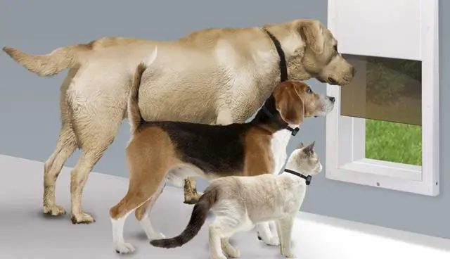 Alt view image 4 of 4 - Power Pet Fully Automatic Pet Door for Wall Installation (Wall Installation, Large)