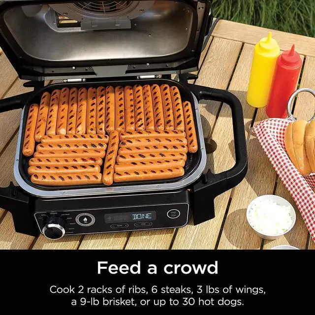 Alt view image 3 of 7 - Ninja Woodfire Outdoor Grill & Smoker, 7-in-1 Master Grill, BBQ Smoker, & Air Fryer plus Bake, Roast, Dehydrate, & Broil, uses Ninja Woodfire Pellets, Weather-Resistant, Portable, Electric, Grey