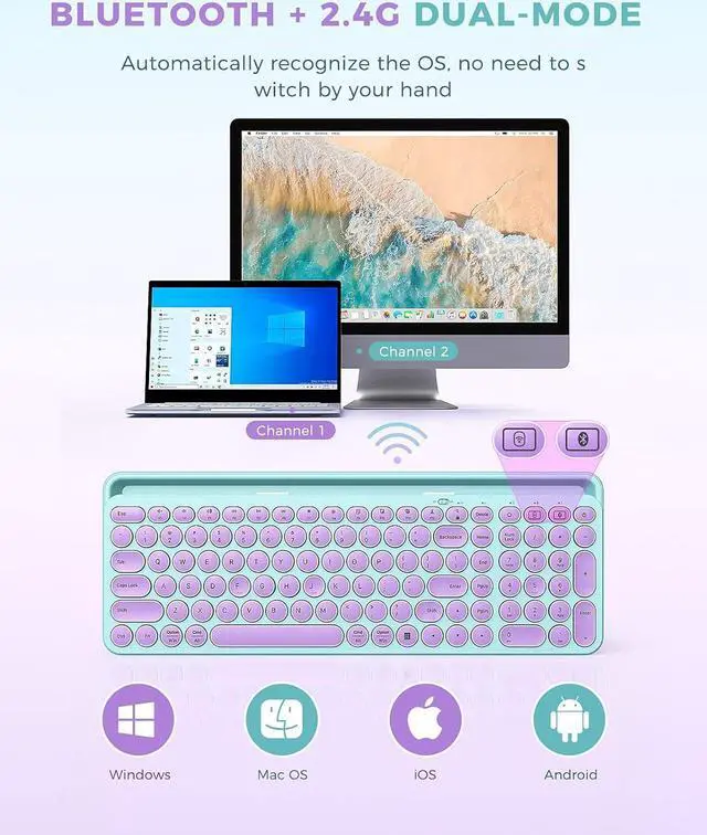 Alt view image 4 of 7 - Cute Wireless Bluetooth Keyboard, Bluetooth + 2.4G Round Key Typewriter Keyboard with Number Pad, Phone Tablet Holder for iPad, Andriod Phone, MacBook/Windows Computer Desktop, Purple
