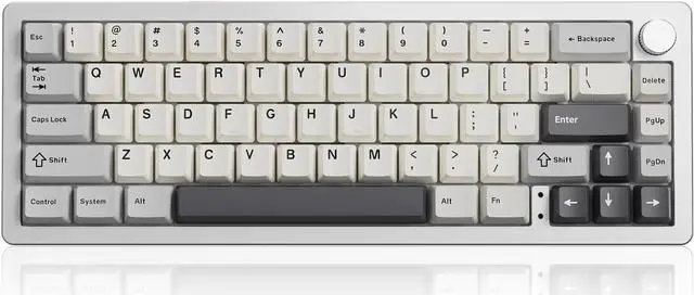 Main image of Wireless Mechanical Keyboard,65% Knob Control Aluminum Gaming Keyboard BT/2.4G/Wired Hot Swappable Pre-lubed Switches, Gasket Mounted RGB Keyboard for Win/Mac(Milk Switch, Silver)