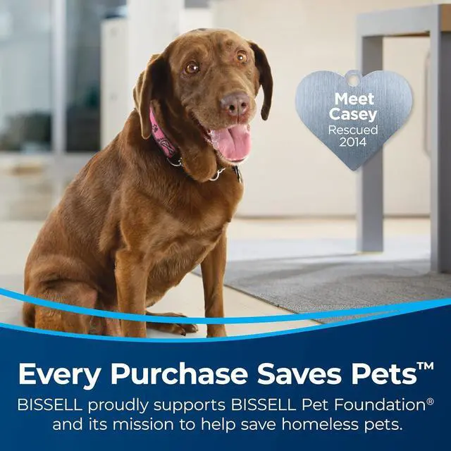 Alt view image 2 of 7 - Bissell Crosswave HF3 Cordless Wet/Dry Vacuum Cleaner and Mop, Multi-Surface and Hardwood Floor Cleaner