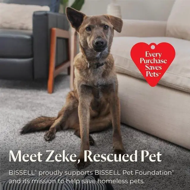 Alt view image 7 of 7 - Bissell CrossWave HydroSteam Wet Dry Vac, Multi-Purpose Vacuum, Wash, and Steam, Sanitize Formula Included