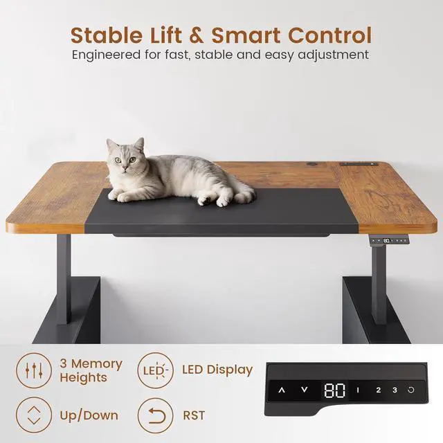 Alt view image 6 of 7 - 63" Executive Standing Desk with Storage, Executive Height Adjustable Desk with Power Outlets, Large Computer Office Desk with Privacy Panel for Home Office, Black Brown