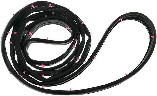 Main image of Acaigel Front Left Door Rubber Seals Weatherstrip For Accord Sedan 2003-2007