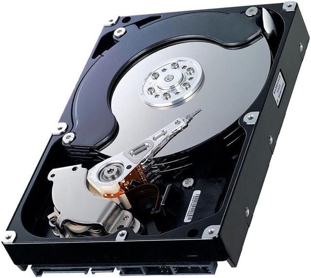 Buy Western Digital Hard Disk 7200RPM 1TB (Blue)