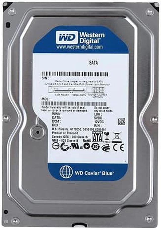 最大79％オフ！ Western Digital WD2500AAJS Caviar Blue Hard Drive 250 GB 内蔵型SSD |  www.sma.com.tn