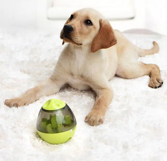 Main image of Interactive Tumbler Ball Dog Toy Bite Resistant IQ Pet Training