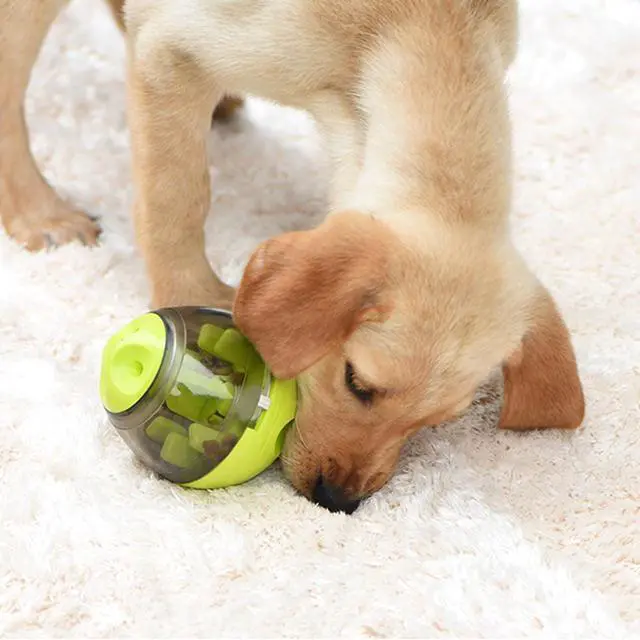 Alt view image 7 of 7 - Interactive Tumbler Ball Dog Toy Bite Resistant IQ Pet Training