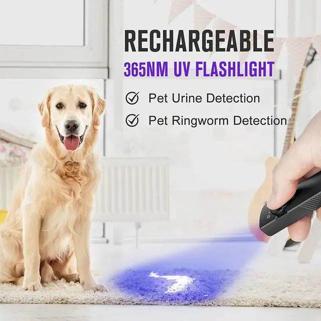Alt view image 6 of 7 - Arkfeld UV Rechargeable EDC Flashlight, 1000 Lumens White LED and 365nm Blacklight Combo for Outdoors, Emergency, Working, Pet Urine Detection (Black CW)