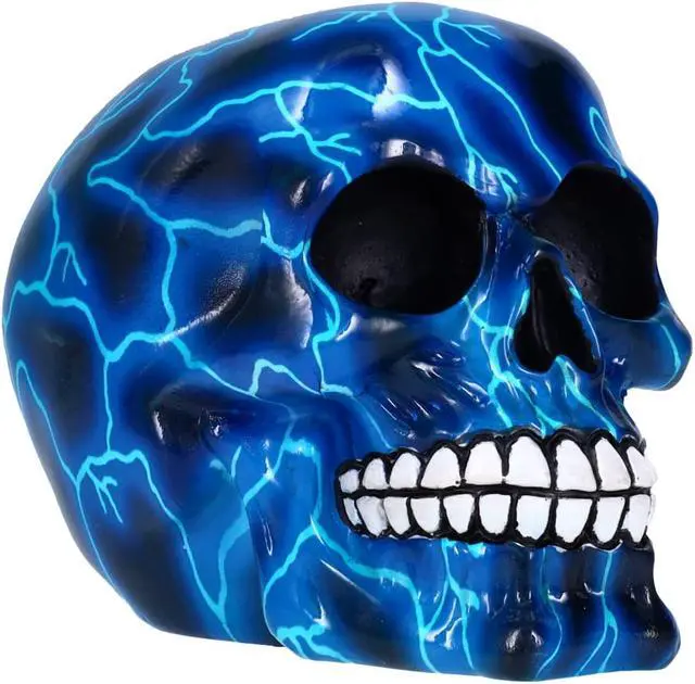 Alt view image 2 of 5 - Skull Blue