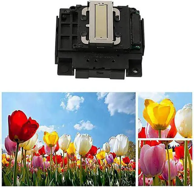 Alt view image 2 of 4 - Ruth's sister 2X For Epson L120 L210 L220 L300 L335 L301 L303 L310 L351 L353 L358 L551 L381 L110 ME303 Color Black Print Head