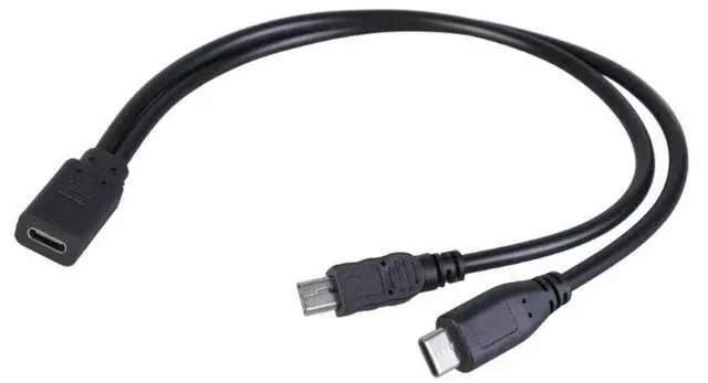 Main image of 2 in 1 Fast Charging Cord USB C Female to Mini USB+Type C Male Port for Phone