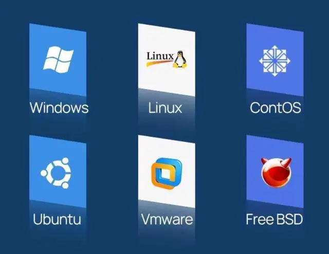 Alt view image 5 of 5 - NVE511 EDSFF to M.2 M Key NVMe SSD Adapter