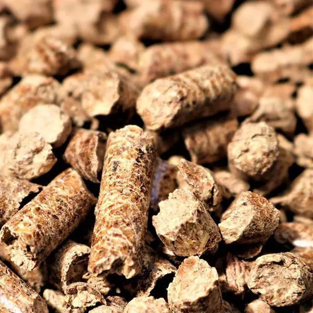 Alt view image 3 of 3 - Bear Mountain Gourmet BBQ Hardwood Cooking Pellets Sweet Smokey Flavor 20lb Bag