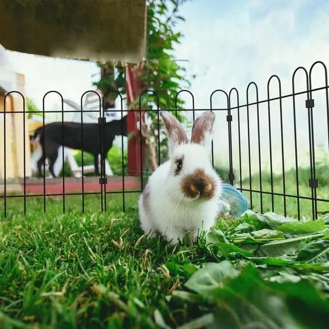 Alt view image 5 of 7 - Sunexinlo Decorative Garden Fence, 10-Pack No Dig Animal Barrier Border Fencing Rabbit Chicken Metal Fence Panel for Yard Garden Beds