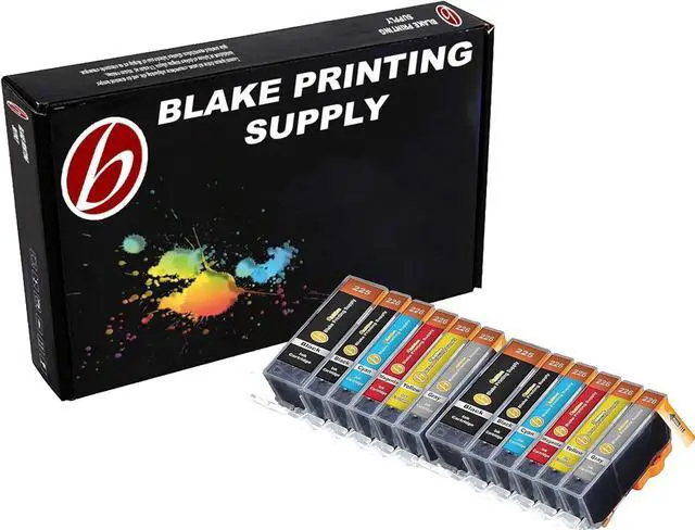 Main image of Blake Printing Supply Ink Cartridge for Inkjet Printer, 12-Pack (2 Small Black, 2 Cyan, 2 Gray, 2 Magenta, 2 Yellow, 2 Big Black)
