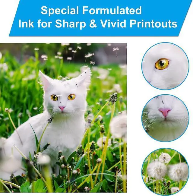 Alt view image 3 of 5 - LCL Compatible for 542 T542 T542520-S T542220-S T542320-S0 T542420-S (6-Pack, 2Cyan 2Magenta 2Yellow Pigment 70ML) Ink Bottle for ET-5180 ET-5150 ET-5170 ET-5850 ET-5800 ET-5880 ET-16600 ET-16650