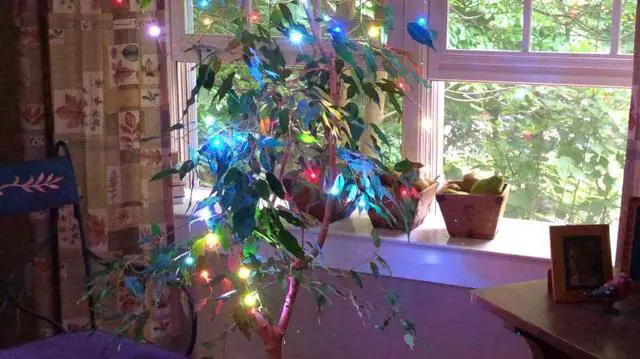 Alt view image 5 of 7 - Battery Operated LED Fairy String Lights, Twinkling Multicolor - Set of 2