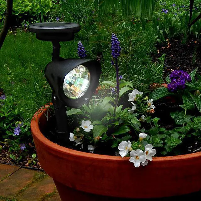 Alt view image 3 of 6 - Solar Powered Black Spotlights - Set of 2