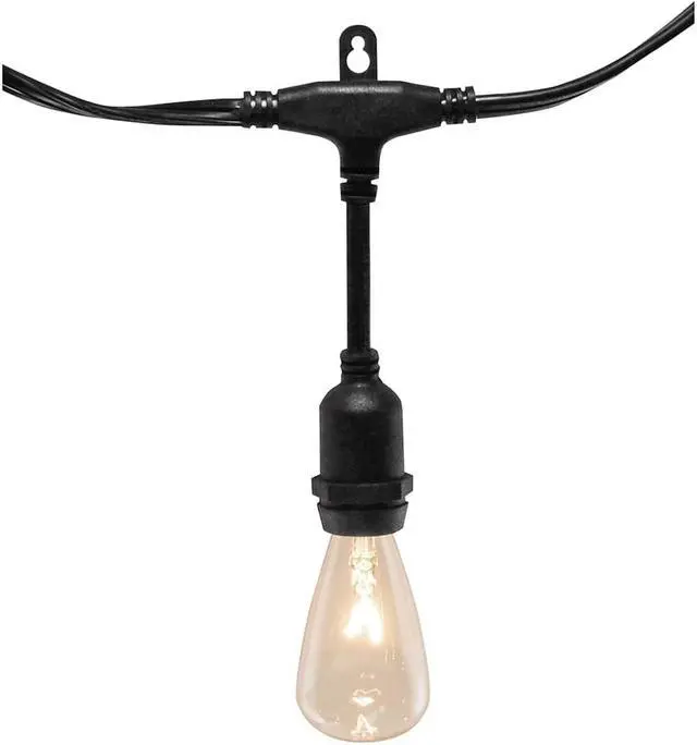 Main image of Electric Commercial Grade String Lights with 12 Edison Bulbs