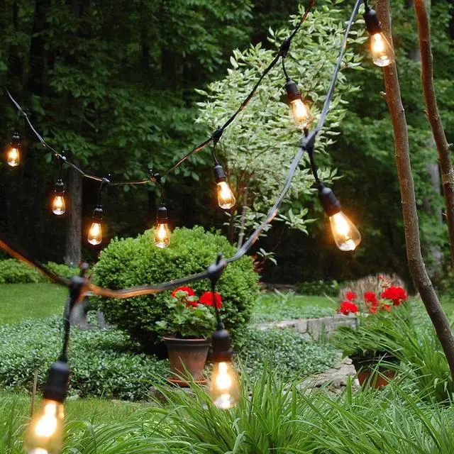 Alt view image 3 of 7 - Electric Commercial Grade String Lights with 12 Edison Bulbs