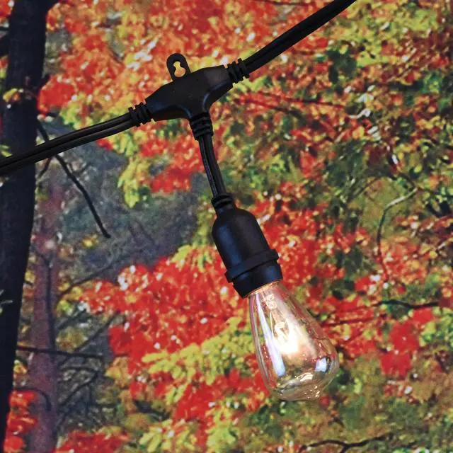 Alt view image 4 of 7 - Electric Commercial Grade String Lights with 12 Edison Bulbs