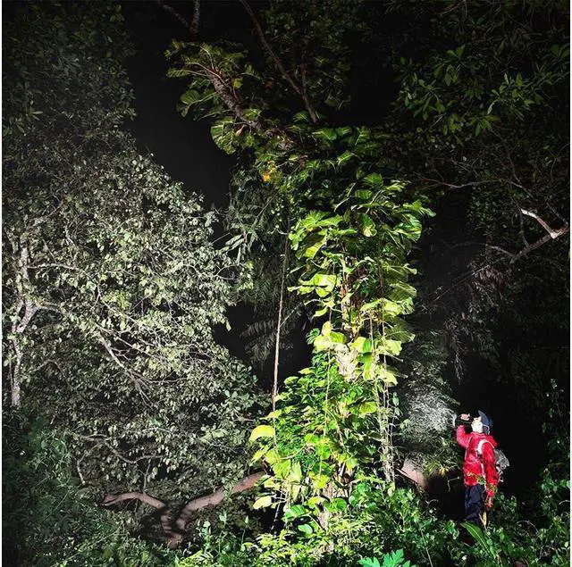 Alt view image 7 of 7 - BONAEVER 3000 Lumens High Power Tactical Hand Held Flashlight Torch Rechargeable Bright Spotlight Waterproof CREE XML-T2 LED Searchlight Floodlight Light For Outdoor Camping Lantern Hiking Hunting