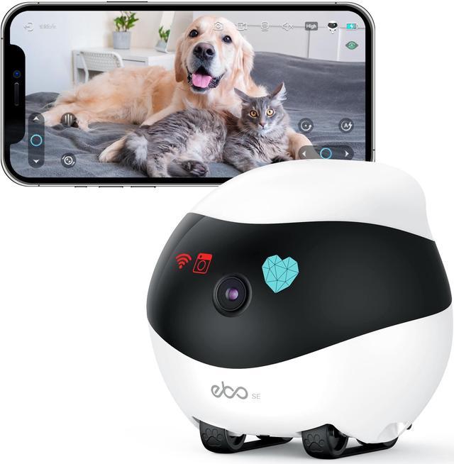 Enabot Ebo-Air Interactive Pet Companion, AI-powered Moving Cam For In