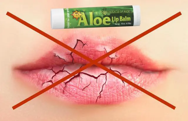 Alt view image 2 of 2 - 3-Pack SPF-15 Sunscreen Aloe Lip Balm | With Pure UltraAloe Aloe Vera Gel | Each Stick weighs 0.15 ounce