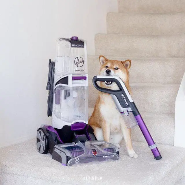 Alt view image 3 of 3 - Hoover SmartWash Pet Complete Automatic Carpet Cleaner Machine, FH53010