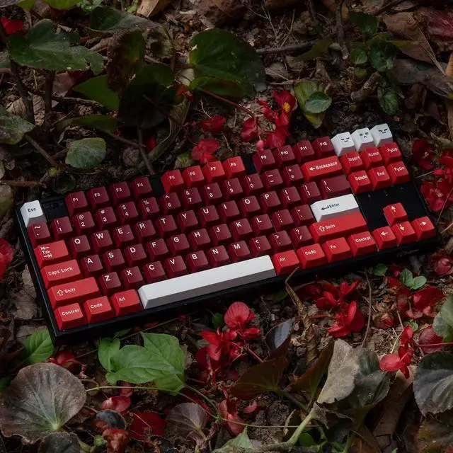 Alt view image 3 of 5 - mintcaps PBT Keycaps Set 173 Keys Cherry Profile Doubleshot Custom Keyboard Red Keycaps ISO ANSI for Cherry MX 60% 65% 70% 75% 95% Mechanical Keyboards